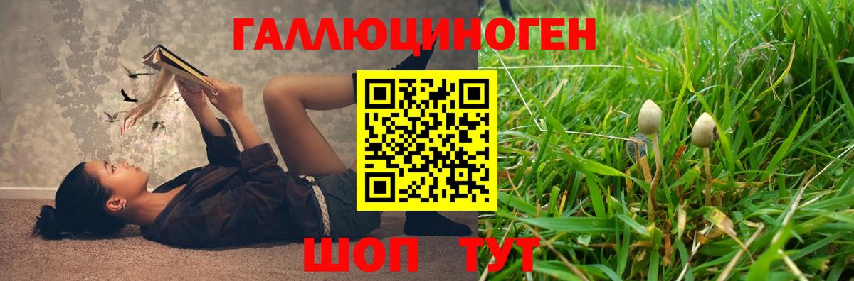 Галлюциногенные грибы MAGIC MUSHROOMS  Псилоцибиновые грибы прущие грибы  Вход с VPN  Первоуральск 
