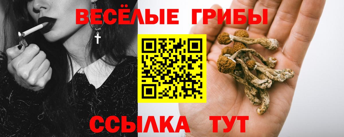 Псилоцибиновые грибы MAGIC MUSHROOMS Первоуральск